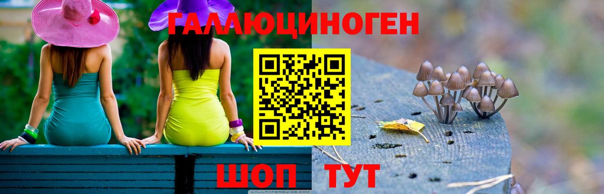 Псилоцибиновые грибы Psilocybe  Галлюциногенные грибы Cubensis  Вход с VPN  Наро-Фоминск 